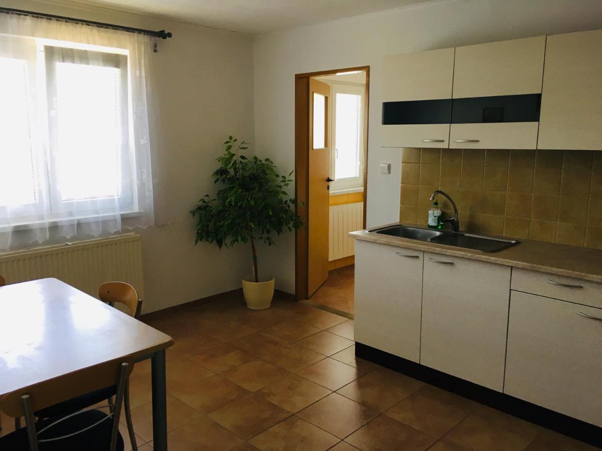 Ubytovani U Ropaku Horní Slavkov Buitenkant foto